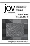 Fixation-related visual mismatch negativity