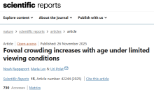 מאמר נוח רפפורט